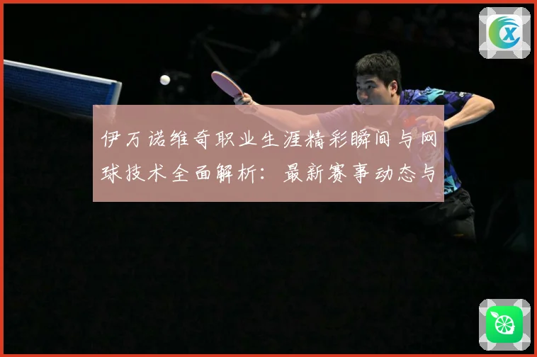 伊万诺维奇职业生涯精彩瞬间与网球技术全面解析：最新赛事动态与深度分析