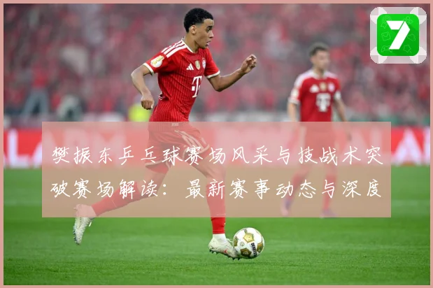 樊振东乒乓球赛场风采与技战术突破赛场解读：最新赛事动态与深度分析